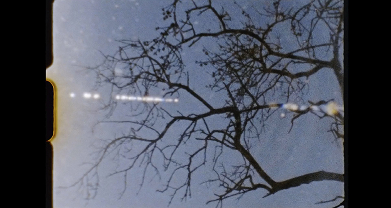 Cortometraje Trenc d´alba