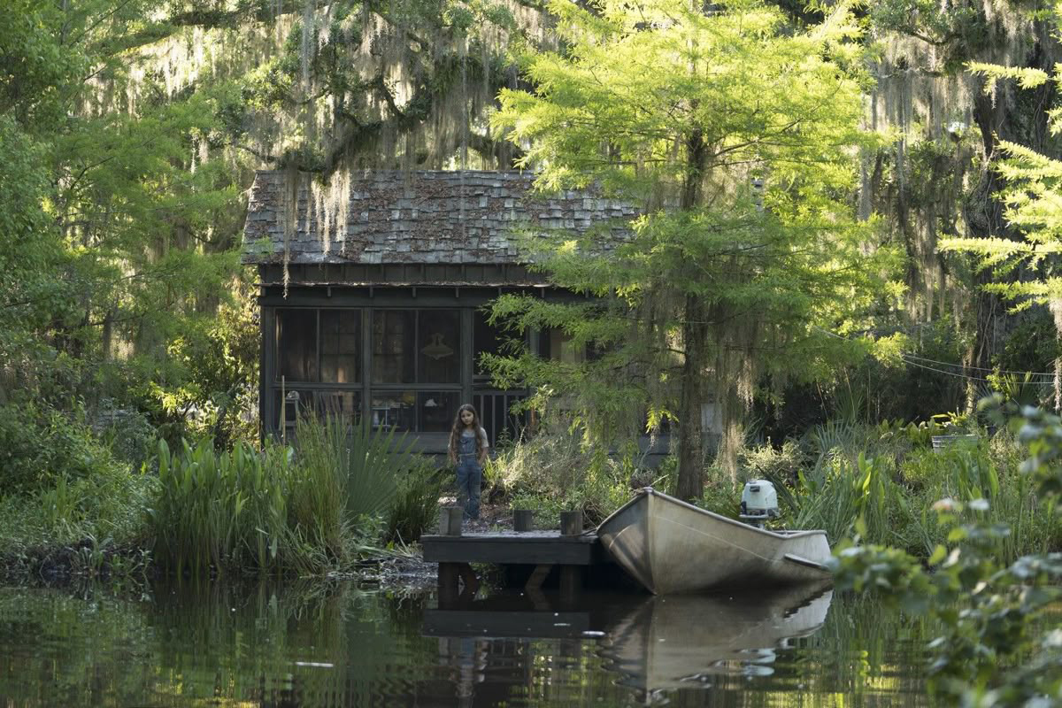 Where the crawdads sing, by Delia Owens