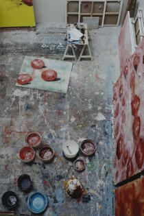 François Halard. Haciendo arte