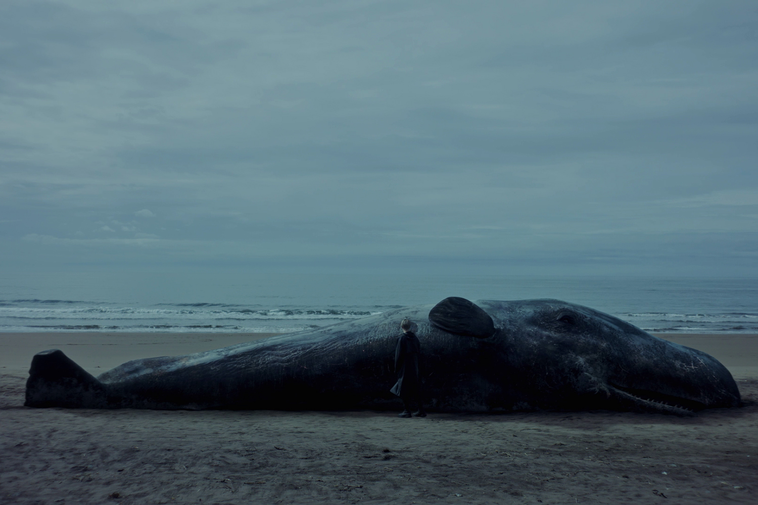 "Una Ballena", todo aquello que no vemos