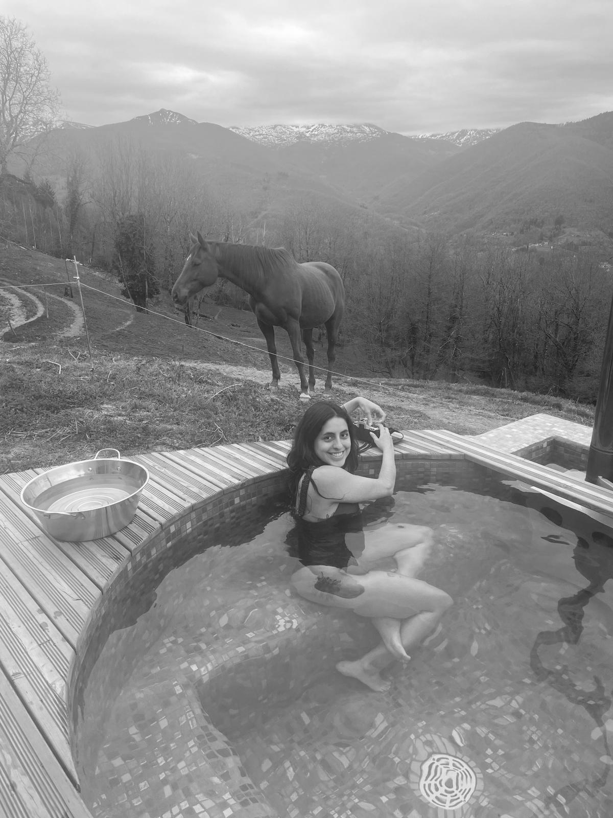 Kaiana. Petting horse