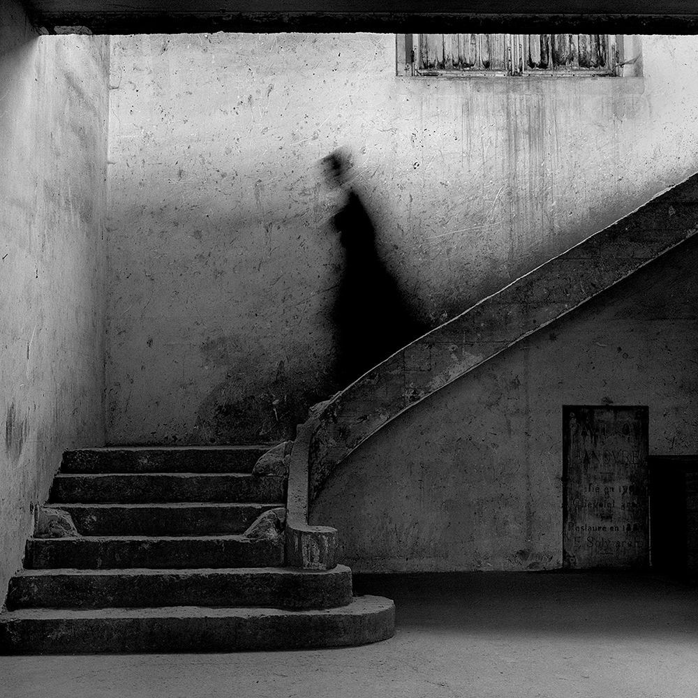 Gary descending stairs, Parc de Sceaux