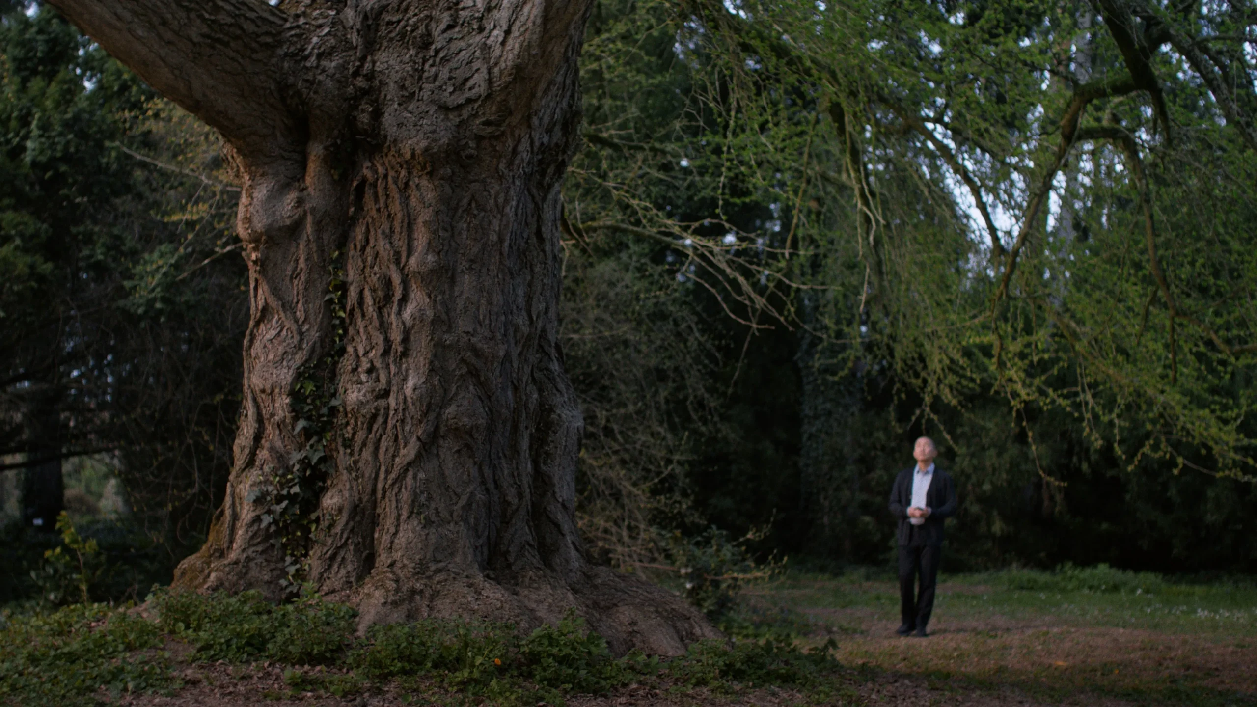 Fotograma de Silent Friend de Ildikó Enyedi