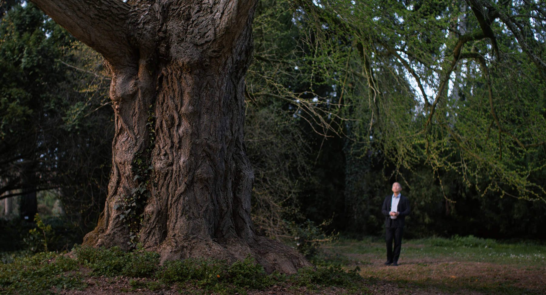 FOTOGRAMA SILENT FRIEND